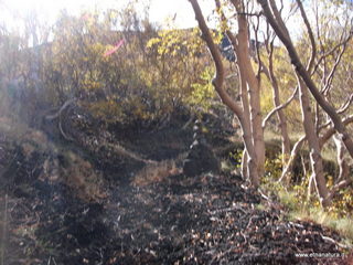 nte Zappinazzo-04-11-2012 10-53-21